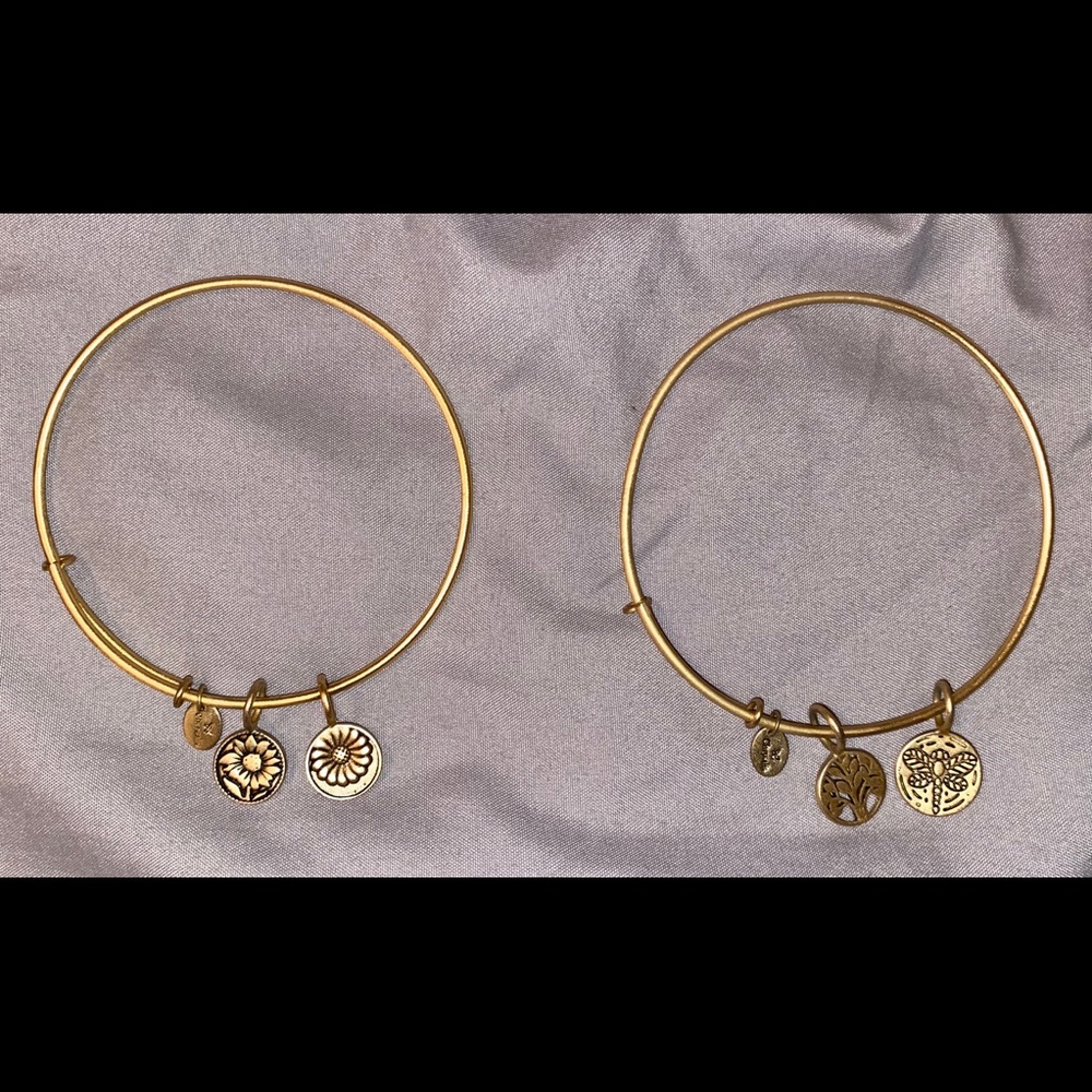 Chrysalis Jewelry Expandable Gold Bangle Duo